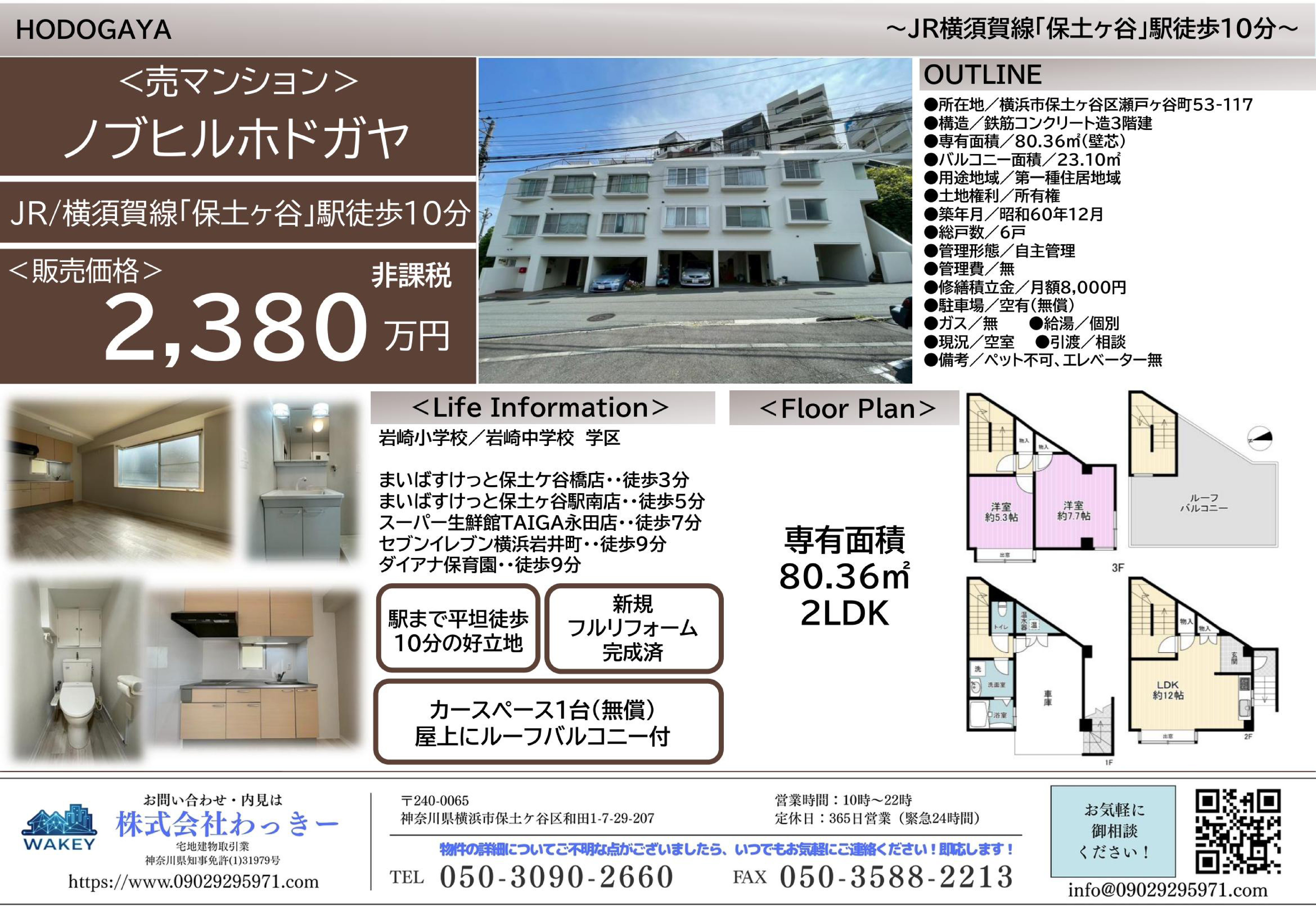 ノブヒルホドガヤ